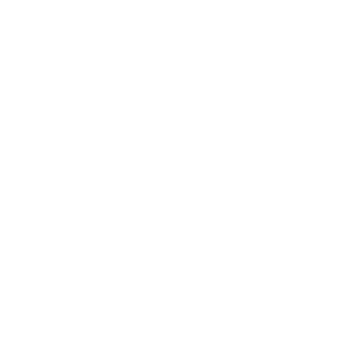 Google Plus icon for social media connection.