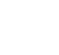 Lifetime updates are a key benefit of CAQA resources for vet training.